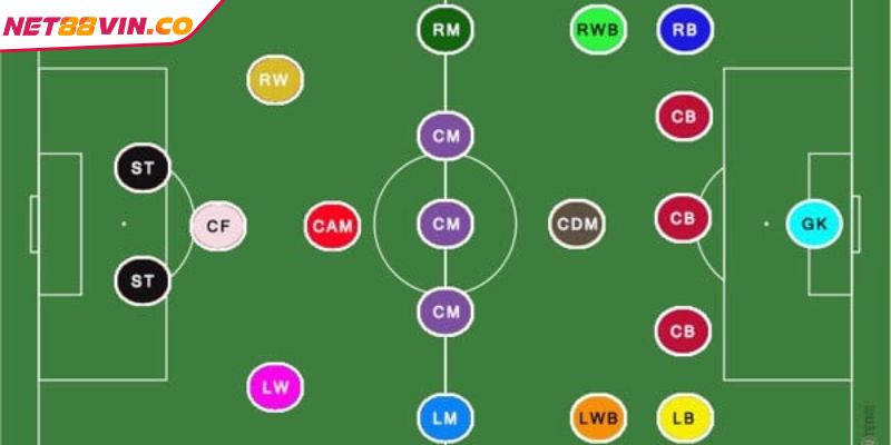 Các Vị Trí Trong Bóng Đá NET88 Và Những Thông Tin Cần Biết Nắm rõ vai trò ý nghĩa của các vị trí trong bóng đá NET88