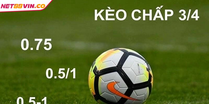 Kèo Chấp 3 4 NET88 Cách Đọc Cơ Bản Và Bí Kíp Chiến Thắng Ví dụ về kèo cược chấp 3 4 NET88 cho tân thủ dễ nắm bắt